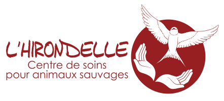 Logo L'Hirondelle